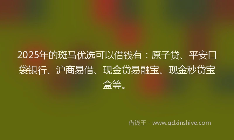 2025年的斑马优选可以借钱有：原子贷、平安口袋银行、沪商易借、现金贷易融宝、现金秒贷宝盒等。