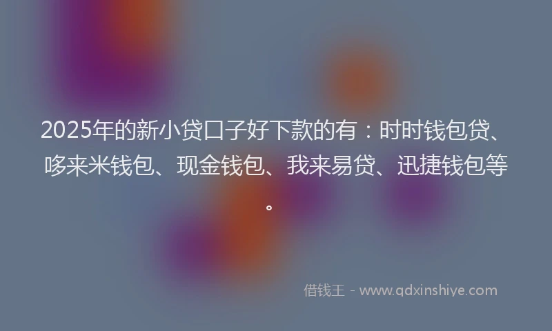 2025年的新小贷口子好下款的有：时时钱包贷、哆来米钱包、现金钱包、我来易贷、迅捷钱包等。