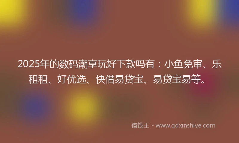 2025年的数码潮享玩好下款吗有：小鱼免审、乐租租、好优选、快借易贷宝、易贷宝易等。