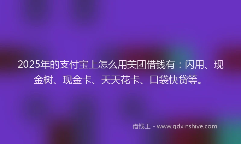 2025年的支付宝上怎么用美团借钱有：闪用、现金树、现金卡、天天花卡、口袋快贷等。
