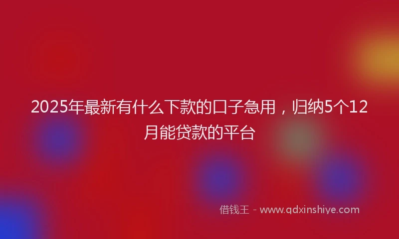 2025年最新有什么下款的口子急用，归纳5个12月能贷款的平台