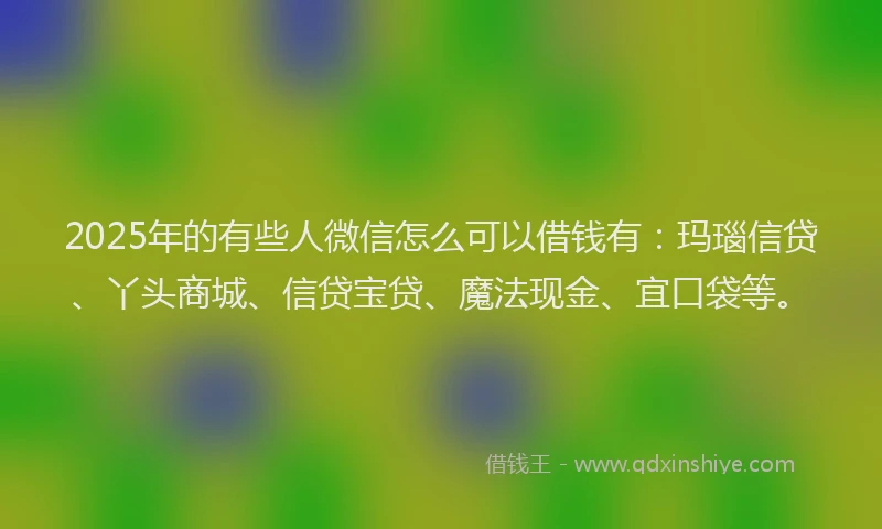2025年的有些人微信怎么可以借钱有：玛瑙信贷、丫头商城、信贷宝贷、魔法现金、宜口袋等。