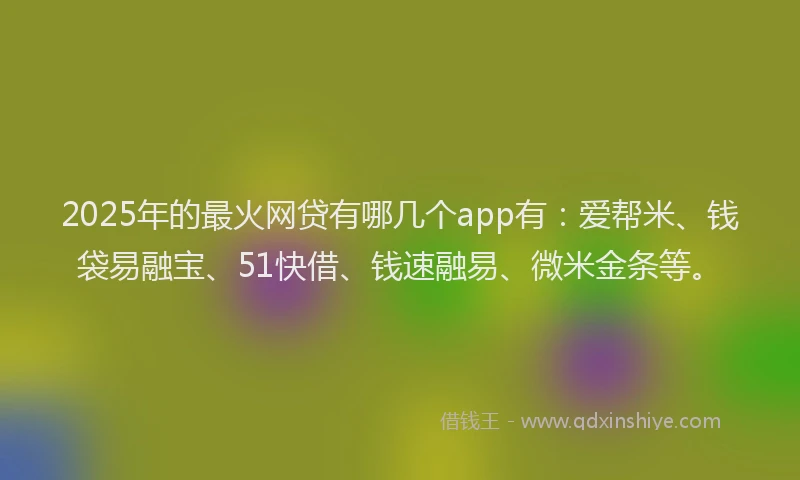 2025年的最火网贷有哪几个app有：爱帮米、钱袋易融宝、51快借、钱速融易、微米金条等。