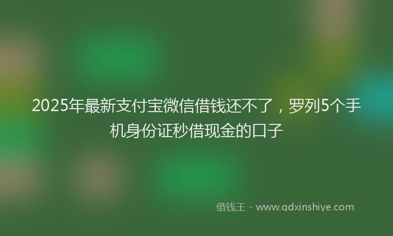 2025年最新支付宝微信借钱还不了，罗列5个手机身份证秒借现金的口子