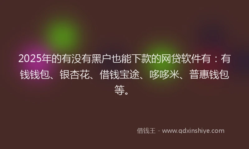 2025年的有没有黑户也能下款的网贷软件有：有钱钱包、银杏花、借钱宝途、哆哆米、普惠钱包等。