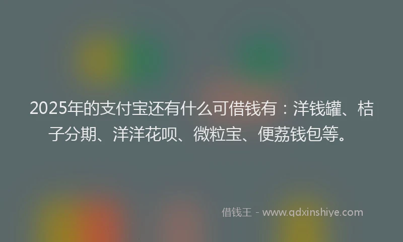 2025年的支付宝还有什么可借钱有：洋钱罐、桔子分期、洋洋花呗、微粒宝、便荔钱包等。