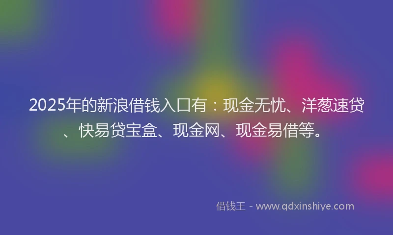 2025年的新浪借钱入口有：现金无忧、洋葱速贷、快易贷宝盒、现金网、现金易借等。