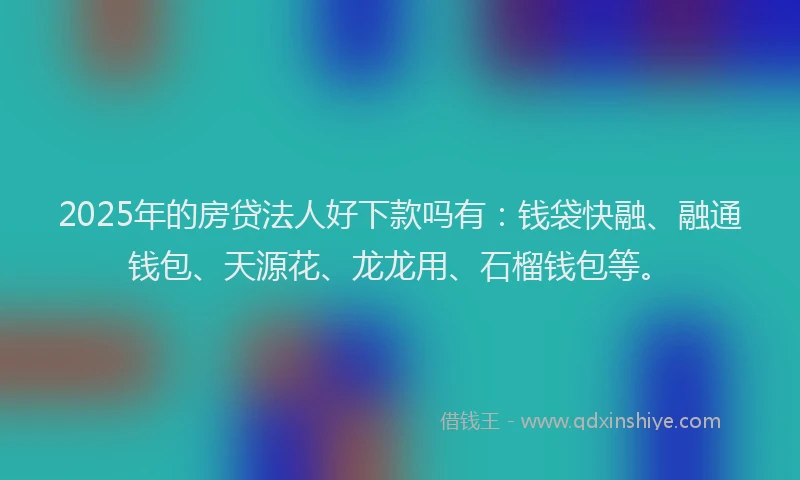 2025年的房贷法人好下款吗有：钱袋快融、融通钱包、天源花、龙龙用、石榴钱包等。