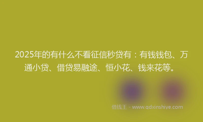 2025年的有什么不看征信秒贷有：有钱钱包、万通小贷、借贷易融途、恒小花、钱来花等。