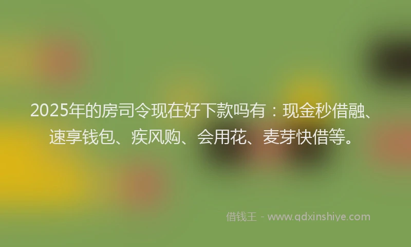 2025年的房司令现在好下款吗有：现金秒借融、速享钱包、疾风购、会用花、麦芽快借等。