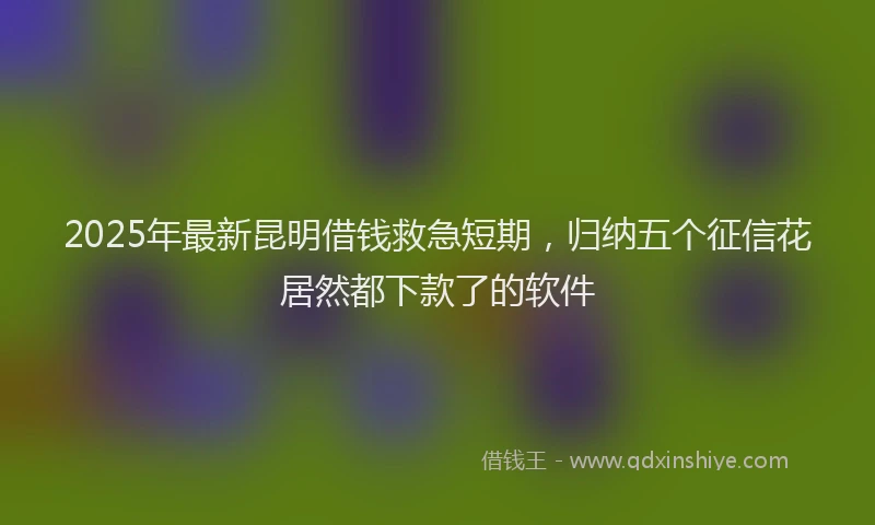 2025年最新昆明借钱救急短期，归纳五个征信花居然都下款了的软件