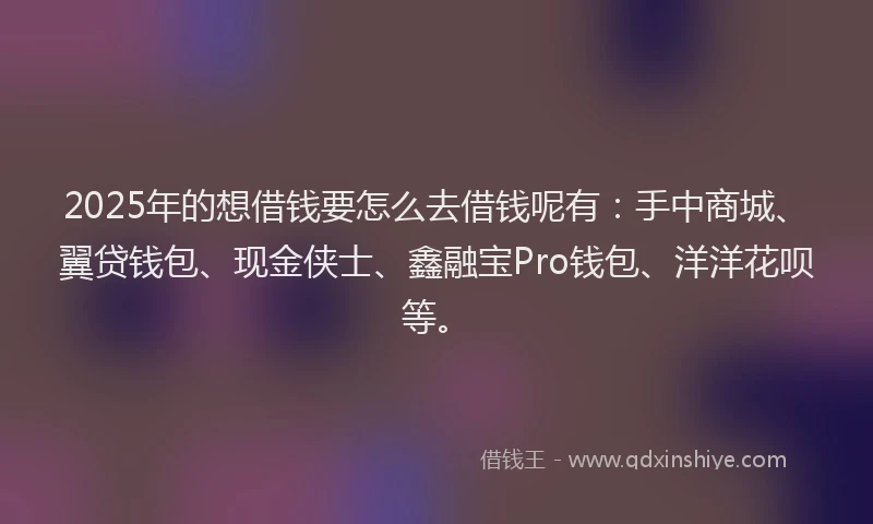 2025年的想借钱要怎么去借钱呢有：手中商城、翼贷钱包、现金侠士、鑫融宝Pro钱包、洋洋花呗等。