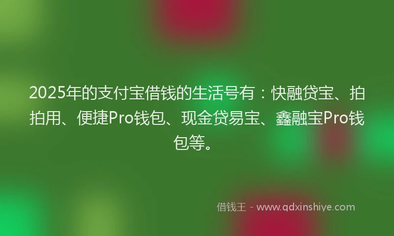 2025年的支付宝借钱的生活号有：快融贷宝、拍拍用、便捷Pro钱包、现金贷易宝、鑫融宝Pro钱包等。
