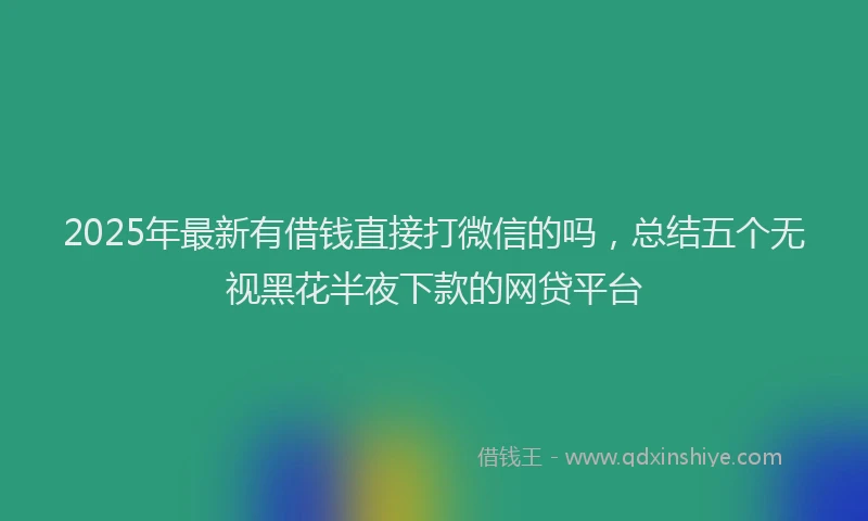 2025年最新有借钱直接打微信的吗，总结五个无视黑花半夜下款的网贷平台