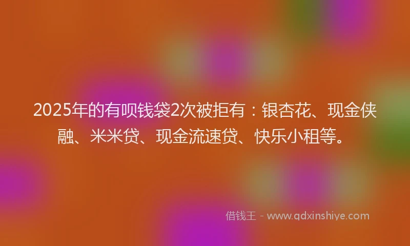2025年的有呗钱袋2次被拒有：银杏花、现金侠融、米米贷、现金流速贷、快乐小租等。