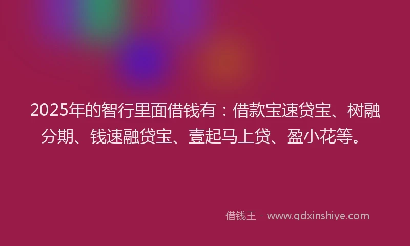 2025年的智行里面借钱有：借款宝速贷宝、树融分期、钱速融贷宝、壹起马上贷、盈小花等。