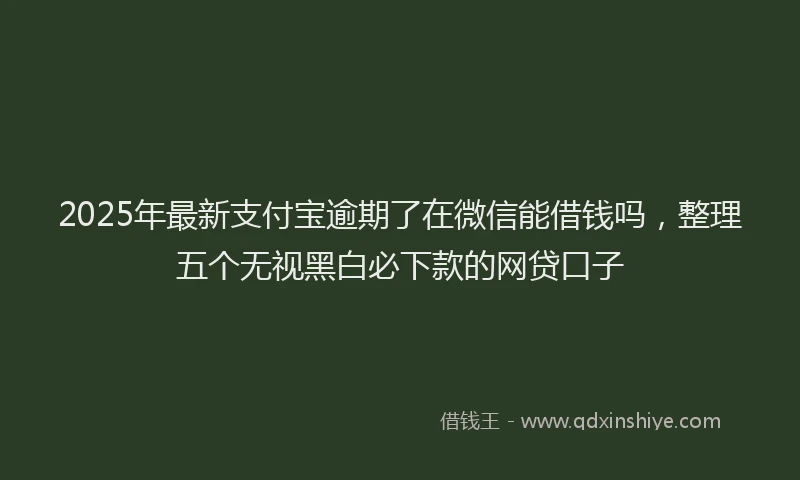 2025年最新支付宝逾期了在微信能借钱吗，整理五个无视黑白必下款的网贷口子