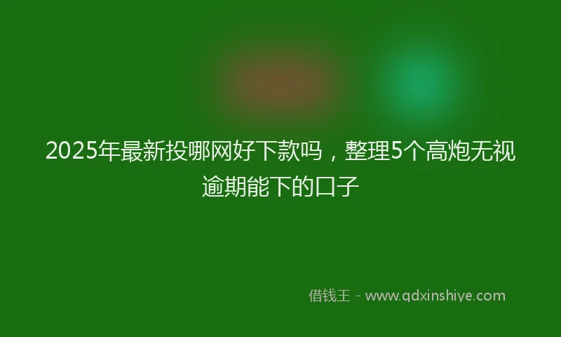 2025年最新投哪网好下款吗，整理5个高炮无视逾期能下的口子