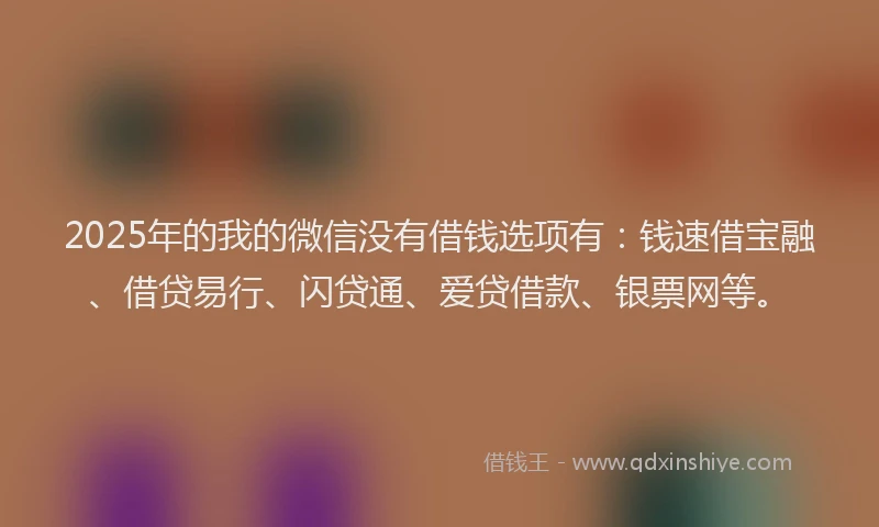 2025年的我的微信没有借钱选项有：钱速借宝融、借贷易行、闪贷通、爱贷借款、银票网等。