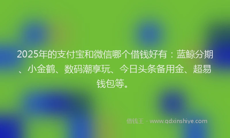 2025年的支付宝和微信哪个借钱好有：蓝鲸分期、小金鹤、数码潮享玩、今日头条备用金、超易钱包等。
