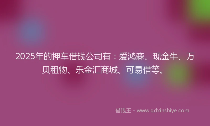 2025年的押车借钱公司有：爱鸿森、现金牛、万贝租物、乐金汇商城、可易借等。