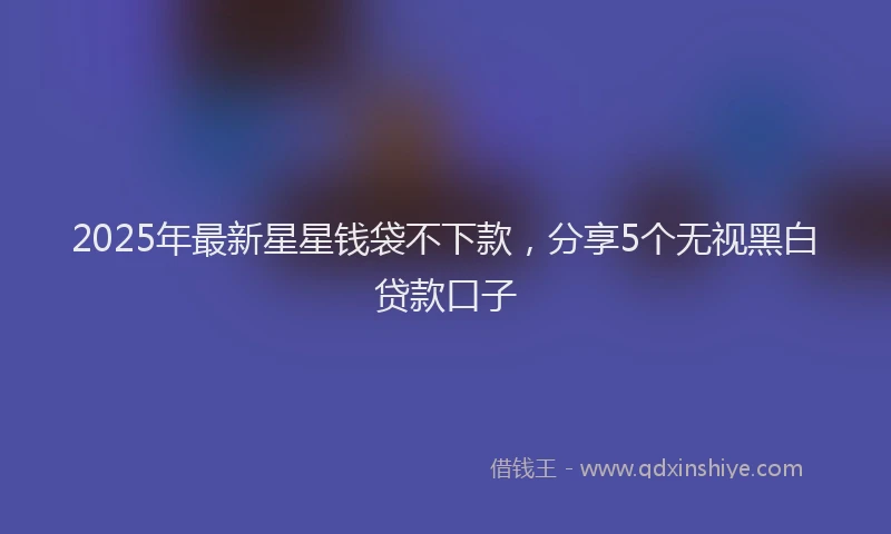 2025年最新星星钱袋不下款，分享5个无视黑白贷款口子
