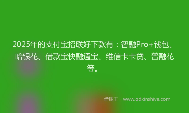 2025年的支付宝招联好下款有：智融Pro+钱包、哈银花、借款宝快融通宝、维信卡卡贷、普融花等。