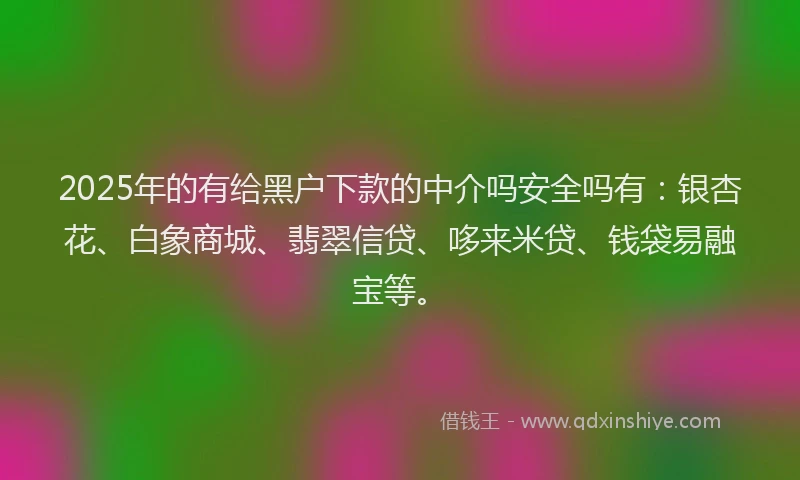 2025年的有给黑户下款的中介吗安全吗有：银杏花、白象商城、翡翠信贷、哆来米贷、钱袋易融宝等。