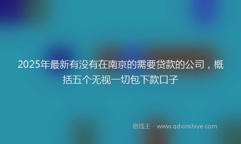 2025年最新有没有在南京的需要贷款的公司，概括五个无视一切包下款口子