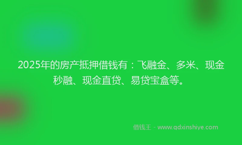 2025年的房产抵押借钱有：飞融金、多米、现金秒融、现金直贷、易贷宝盒等。