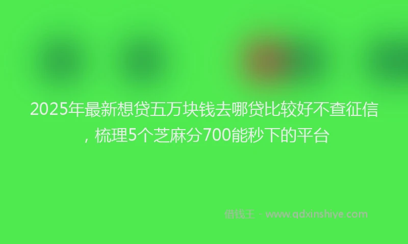 2025年最新想贷五万块钱去哪贷比较好不查征信，梳理5个芝麻分700能秒下的平台