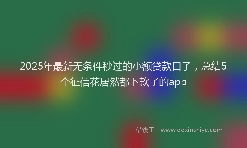 2025年最新无条件秒过的小额贷款口子，总结5个征信花居然都下款了的app