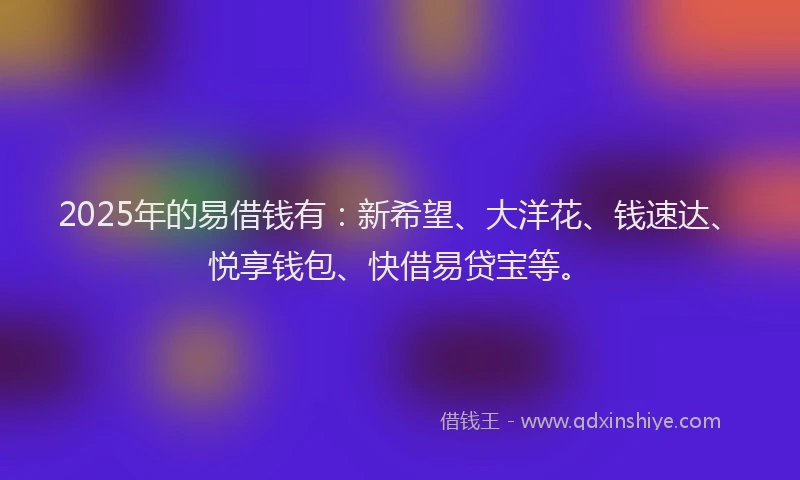 2025年的易借钱有：新希望、大洋花、钱速达、悦享钱包、快借易贷宝等。