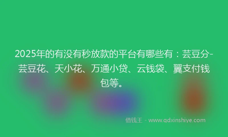 2025年的有没有秒放款的平台有哪些有：芸豆分-芸豆花、天小花、万通小贷、云钱袋、翼支付钱包等。