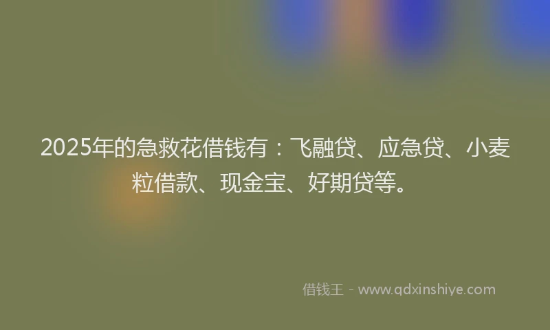 2025年的急救花借钱有：飞融贷、应急贷、小麦粒借款、现金宝、好期贷等。
