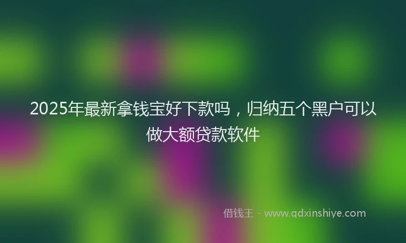 2025年最新拿钱宝好下款吗，归纳五个黑户可以做大额贷款软件