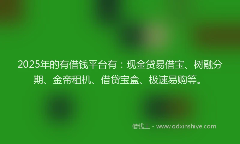 2025年的有借钱平台有：现金贷易借宝、树融分期、金帝租机、借贷宝盒、极速易购等。