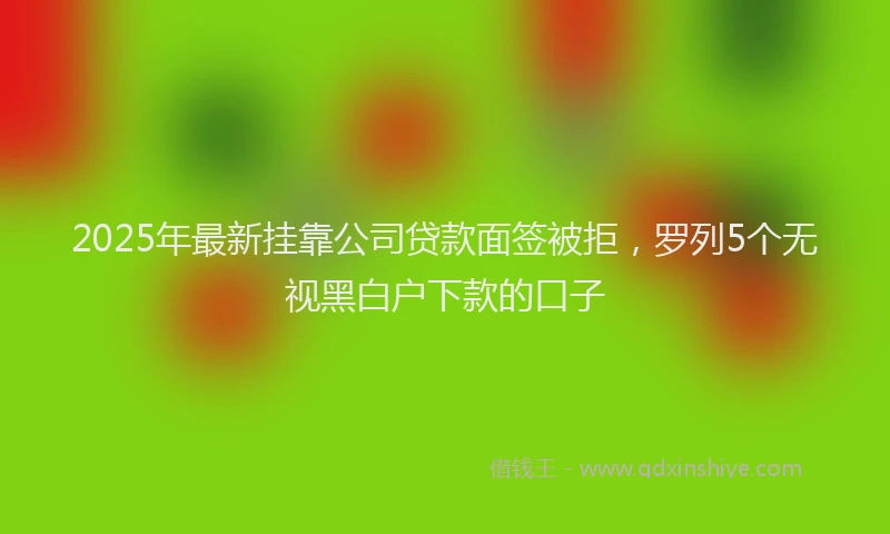 2025年最新挂靠公司贷款面签被拒，罗列5个无视黑白户下款的口子