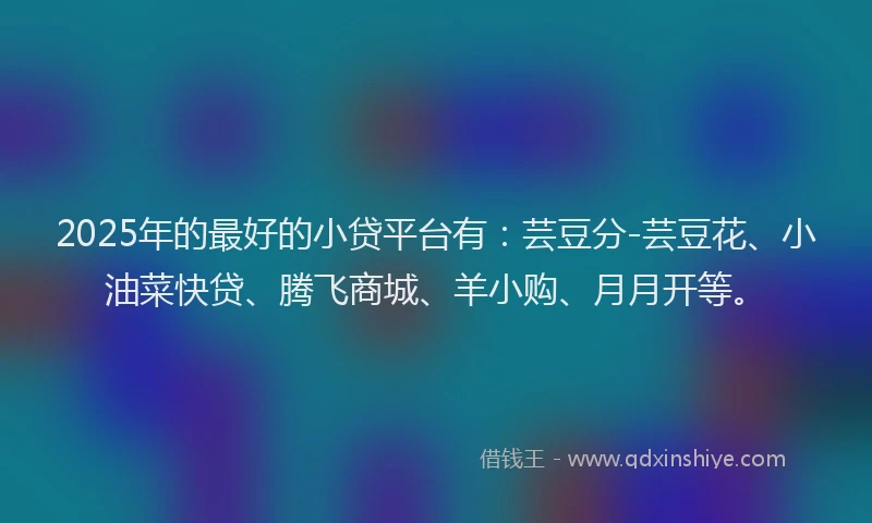 2025年的最好的小贷平台有：芸豆分-芸豆花、小油菜快贷、腾飞商城、羊小购、月月开等。