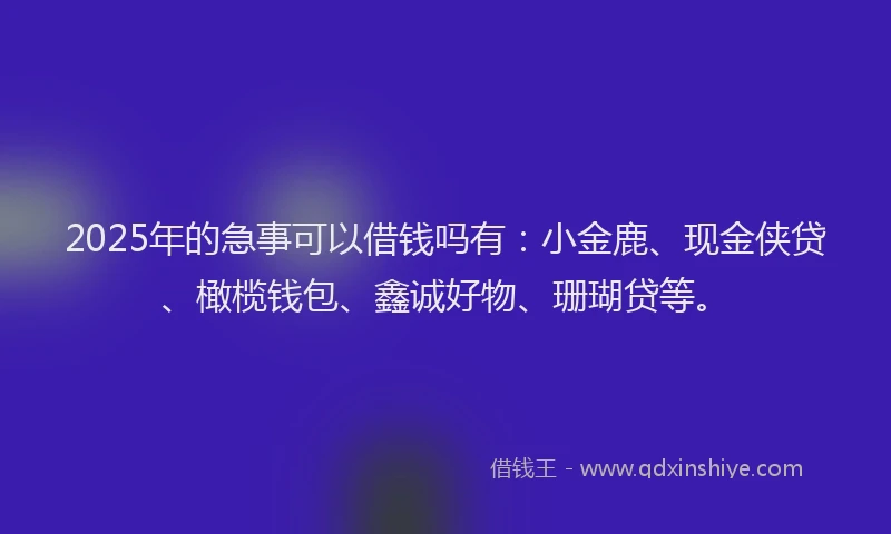 2025年的急事可以借钱吗有：小金鹿、现金侠贷、橄榄钱包、鑫诚好物、珊瑚贷等。