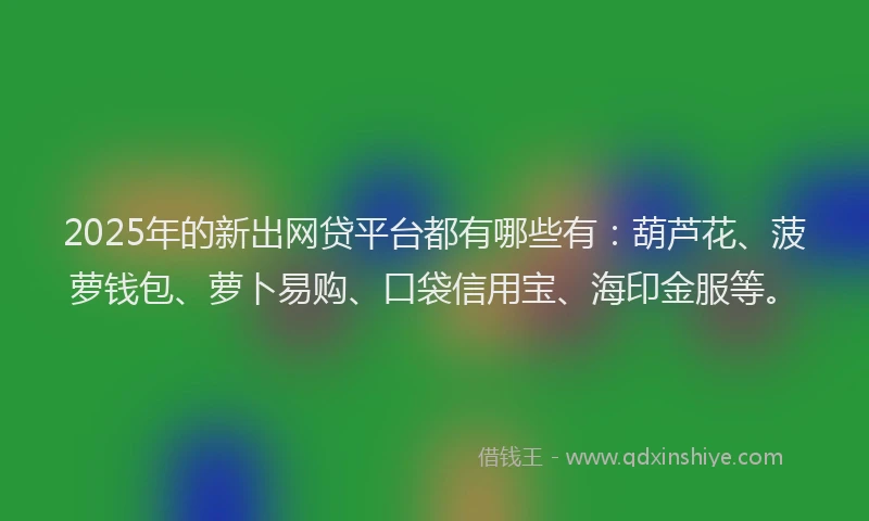 2025年的新出网贷平台都有哪些有：葫芦花、菠萝钱包、萝卜易购、口袋信用宝、海印金服等。