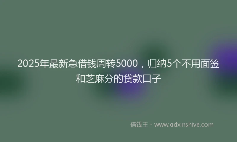 2025年最新急借钱周转5000，归纳5个不用面签和芝麻分的贷款口子