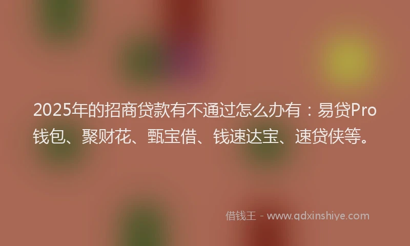 2025年的招商贷款有不通过怎么办有：易贷Pro钱包、聚财花、甄宝借、钱速达宝、速贷侠等。