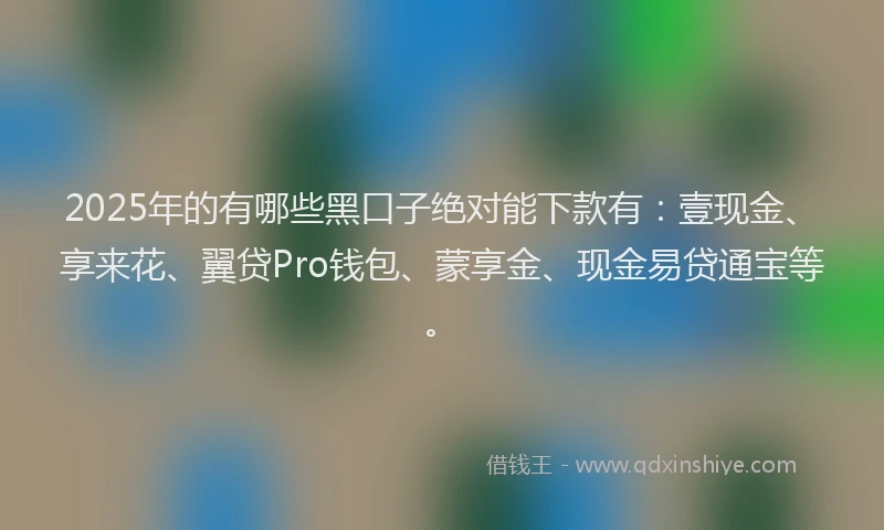 2025年的有哪些黑口子绝对能下款有：壹现金、享来花、翼贷Pro钱包、蒙享金、现金易贷通宝等。
