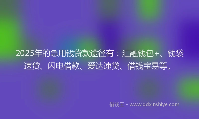 2025年的急用钱贷款途径有：汇融钱包+、钱袋速贷、闪电借款、爱达速贷、借钱宝易等。