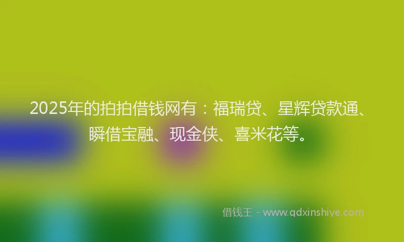 2025年的拍拍借钱网有：福瑞贷、星辉贷款通、瞬借宝融、现金侠、喜米花等。