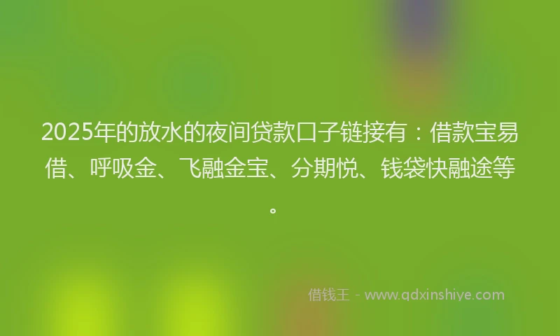 2025年的放水的夜间贷款口子链接有：借款宝易借、呼吸金、飞融金宝、分期悦、钱袋快融途等。