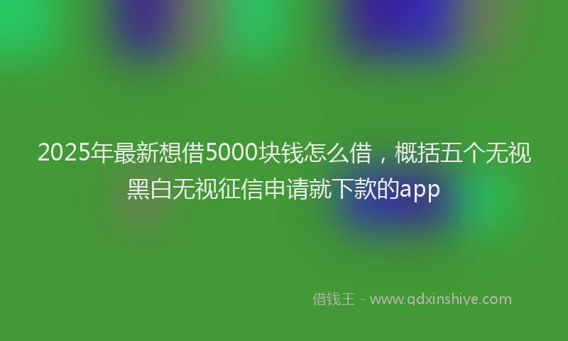 2025年最新想借5000块钱怎么借，概括五个无视黑白无视征信申请就下款的app
