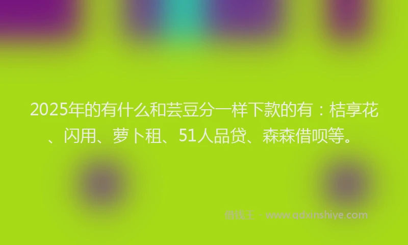 2025年的有什么和芸豆分一样下款的有：桔享花、闪用、萝卜租、51人品贷、森森借呗等。