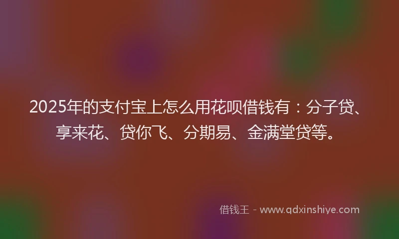2025年的支付宝上怎么用花呗借钱有：分子贷、享来花、贷你飞、分期易、金满堂贷等。